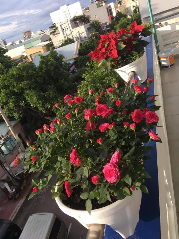 Homestay Hải Hồ Quy Nhơn