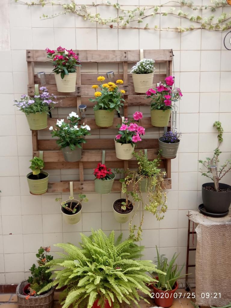 Como en casa photo 1
