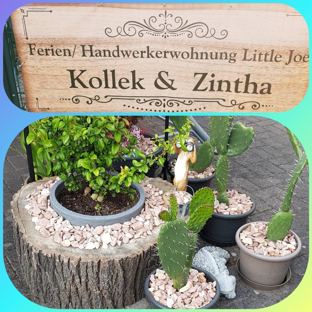 Ferienwohnung Little Joe photo 4