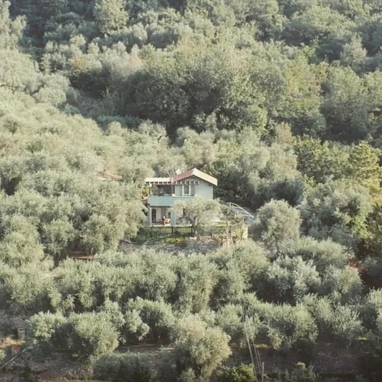 Terre Di Garlenda photo 1