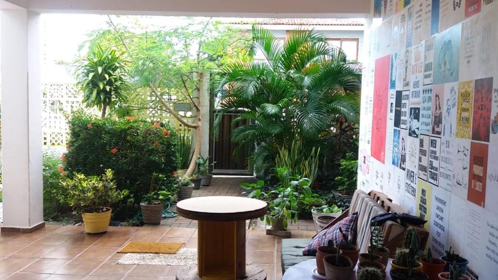 Slow Hostel - Hospedagem Criativa photo 2