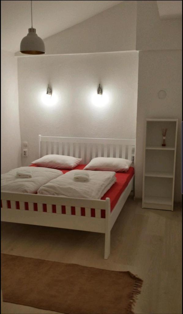 Una Rosa Hostel photo 3