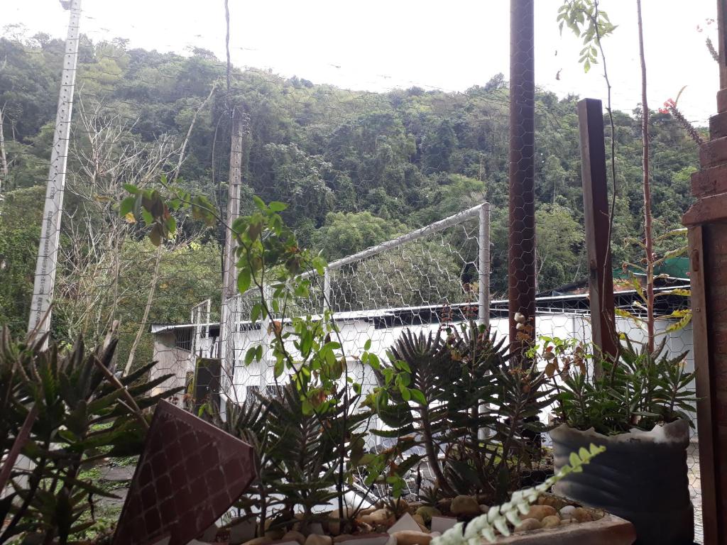 Pertinho da Mata photo 2