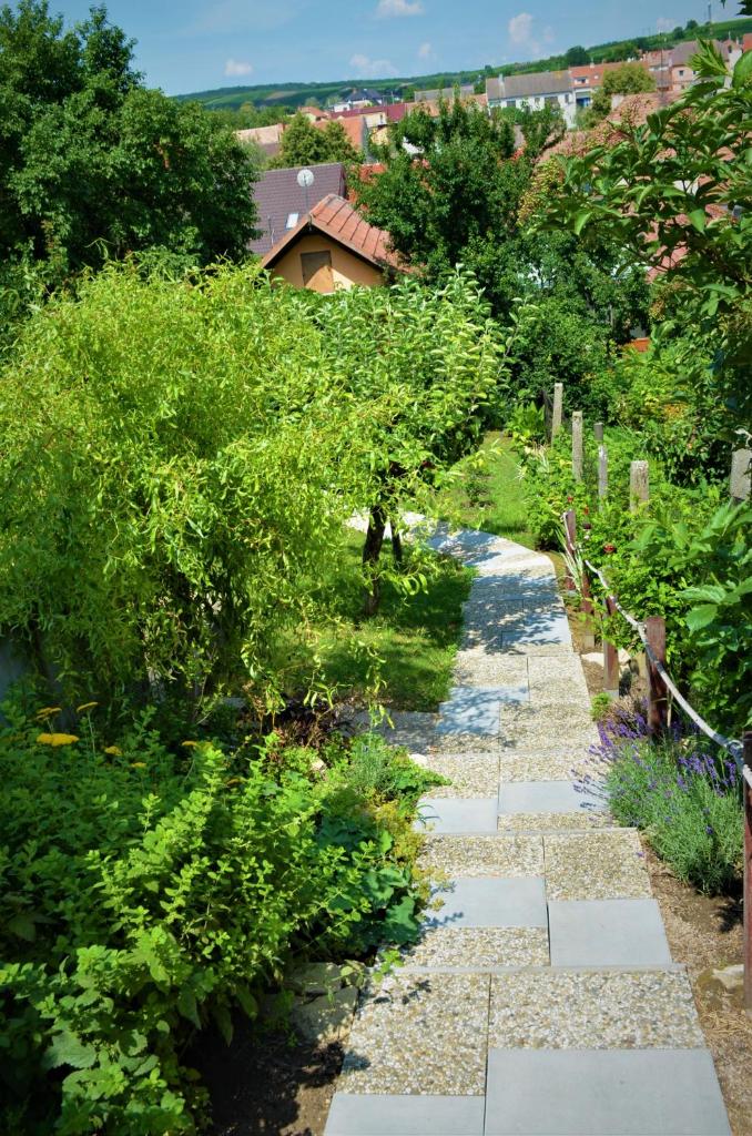 Vinařství Koliba photo 2