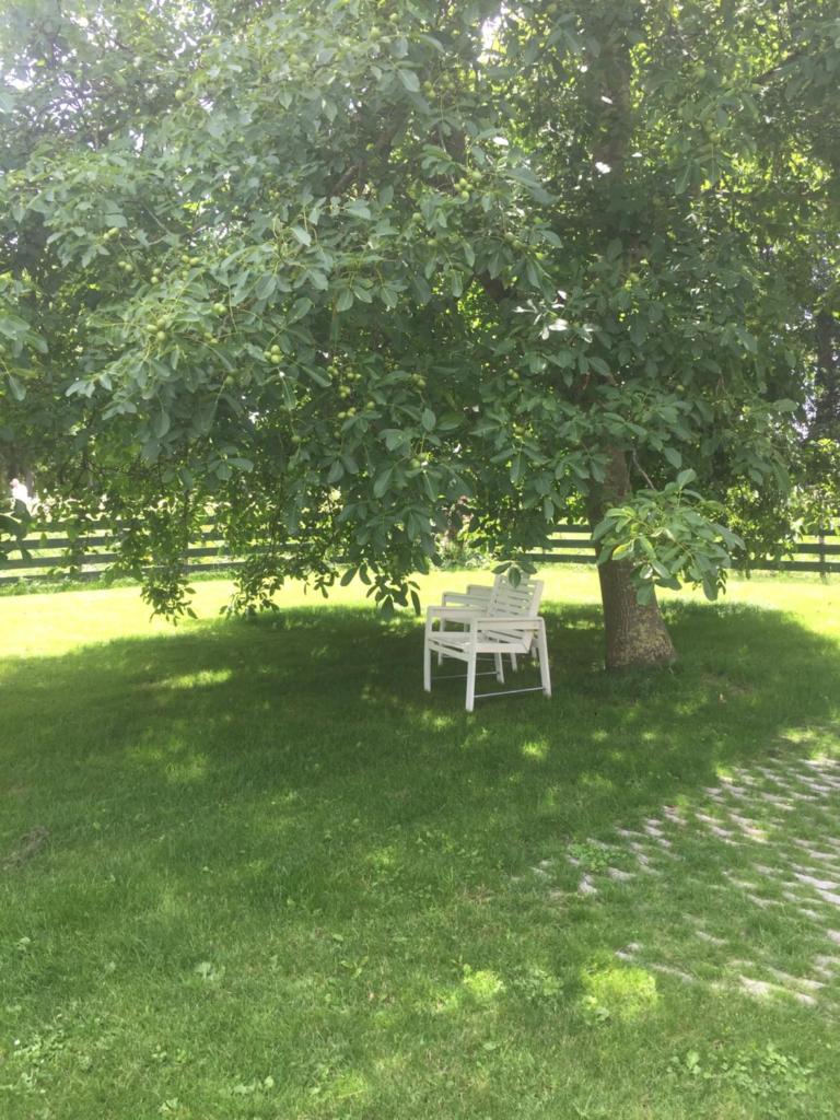 Lekerweg 32 photo 3