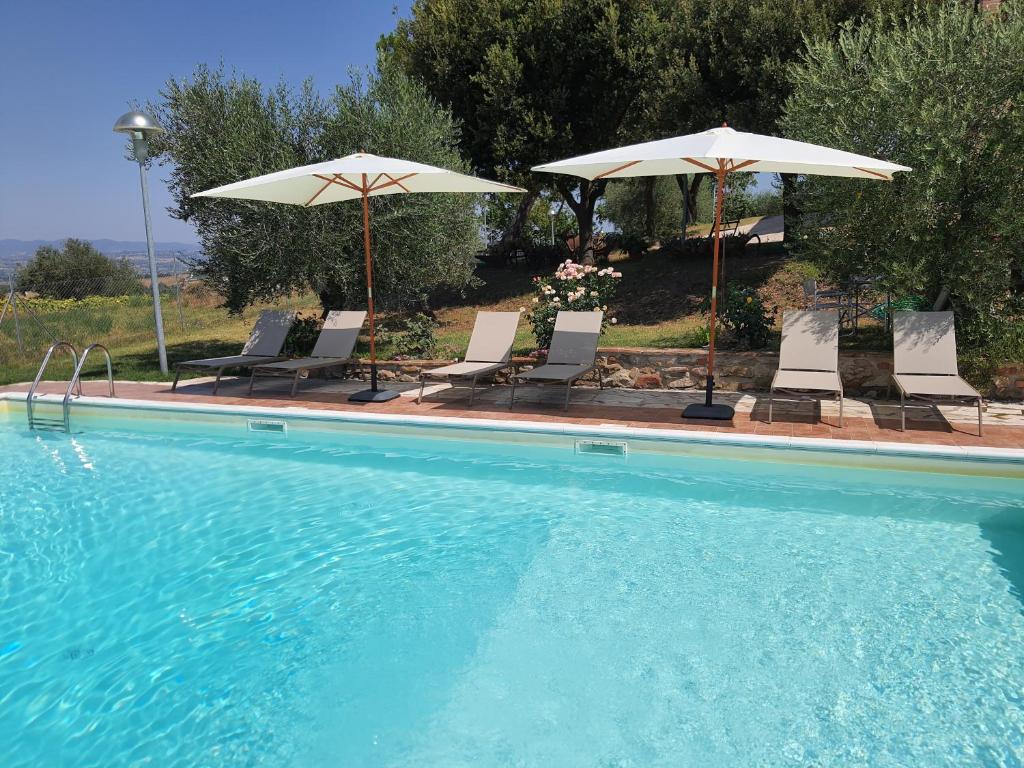 La Collina photo 4