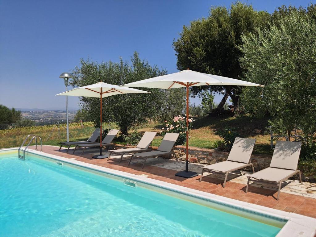 La Collina photo 3