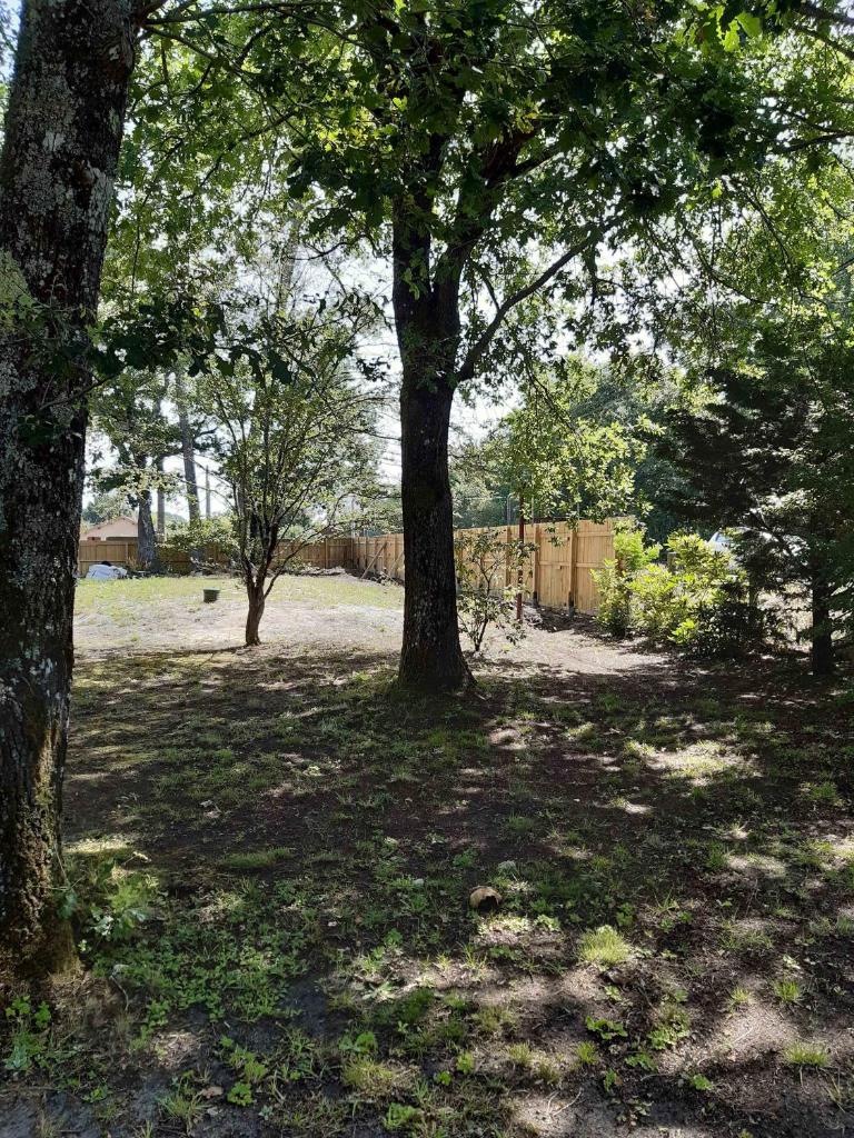 Gîte les 2 pins - Audenge photo 1