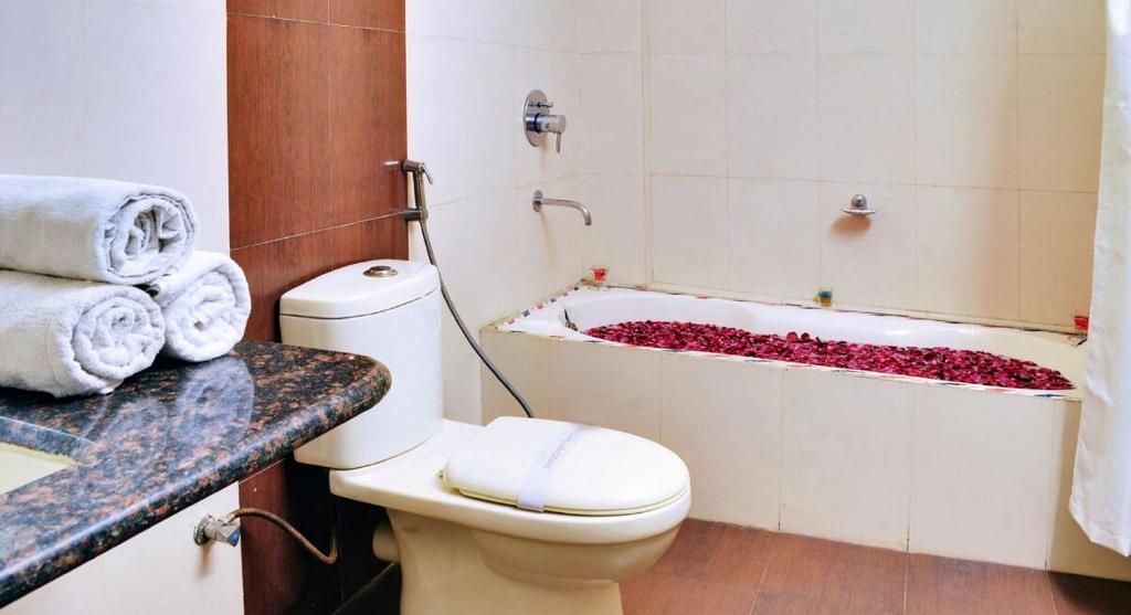 Hotel Shanti Palace photo 3