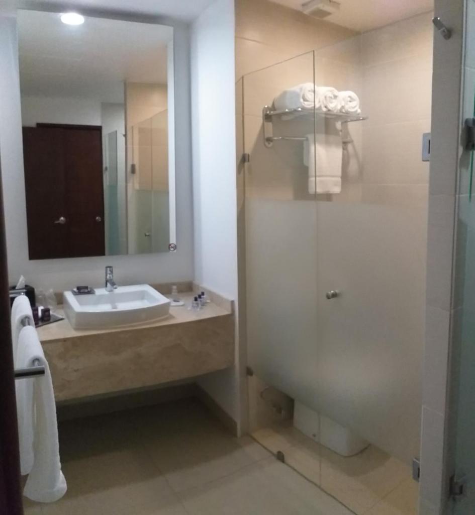 Сьюит (Суперлюкс с кроватью размера «queen-size»), Wyndham Garden León Centro Max