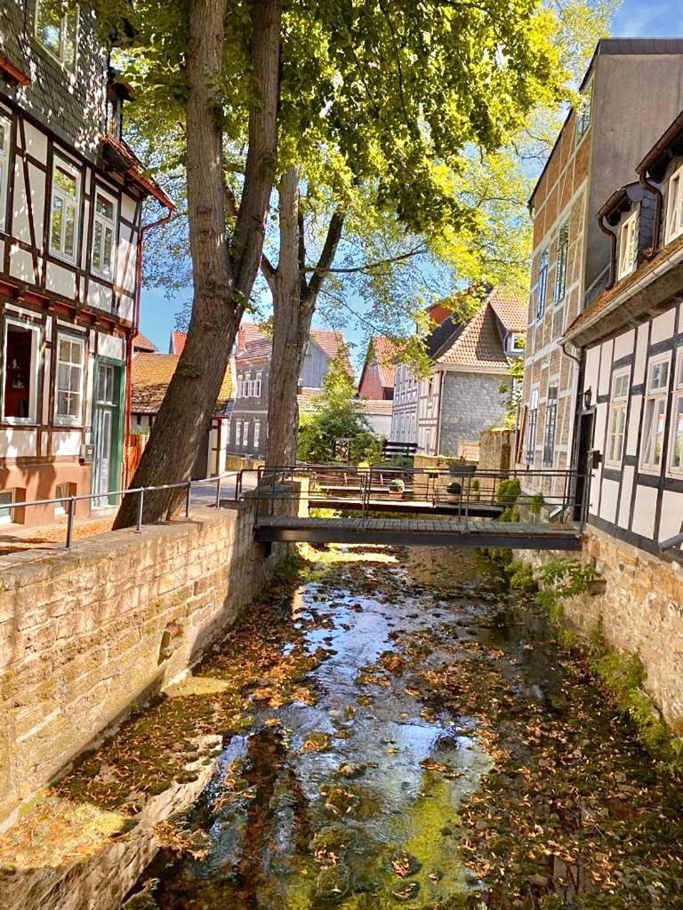 Ferienhaus Zur Abzuchtinsel photo 3