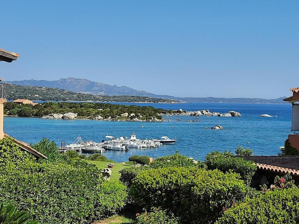 Dany's Home in Baia de Bahas photo 2