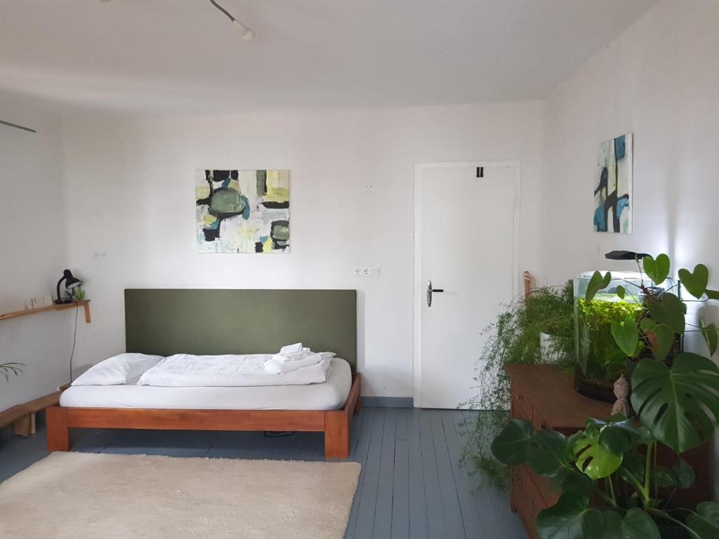 Ältestes Haus in Quentel - Ferienwohnung 2 mit Dachterrasse photo 4