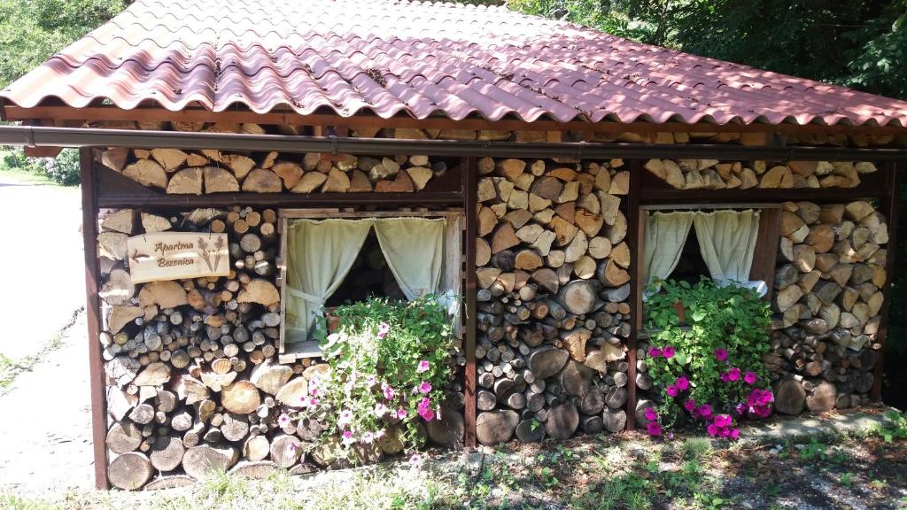 Appartment Bezenica photo 1