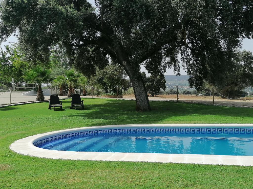 Alojamiento Rural El Chaparral photo 3
