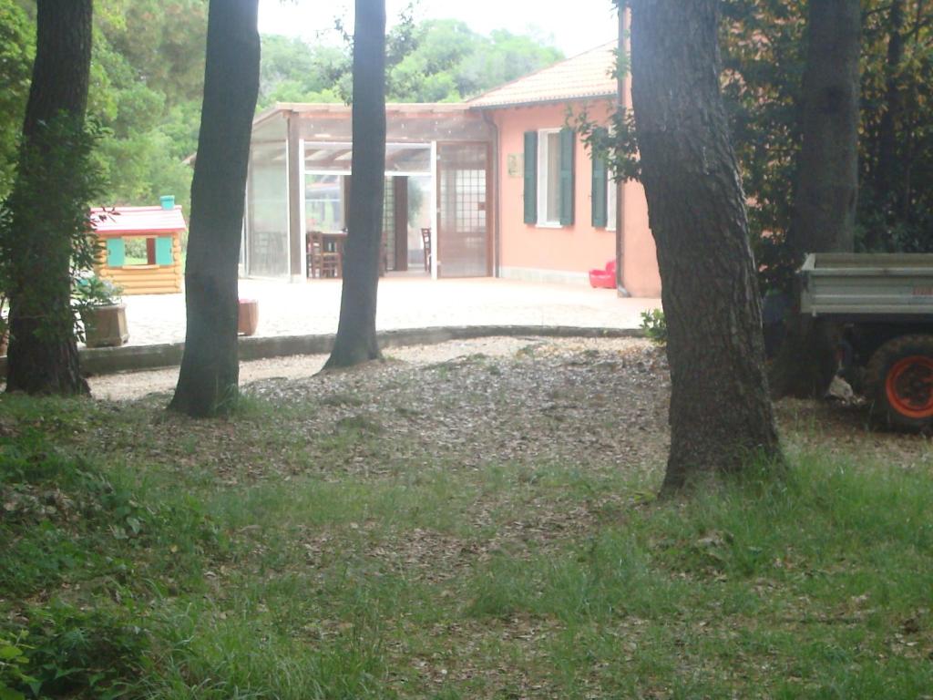 Agriturismo "La Rosa Canina" photo 3