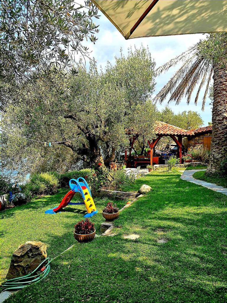 Mare Nostrum photo 4
