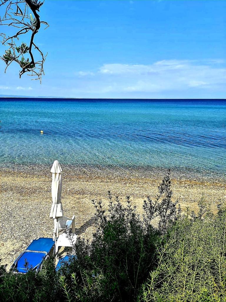 Mare Nostrum photo 2