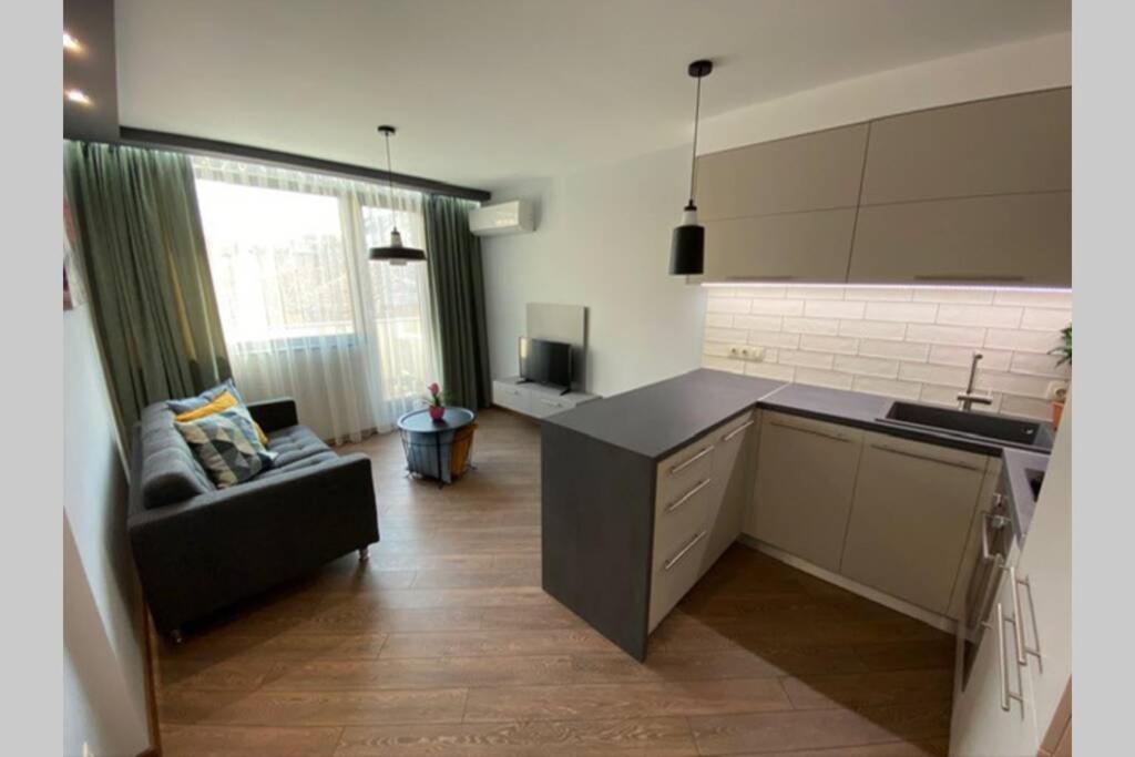 LUX 1BD/1BA City Center Apartment photo 3