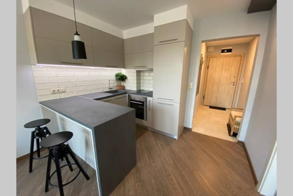 LUX 1BD/1BA City Center Apartment photo 4