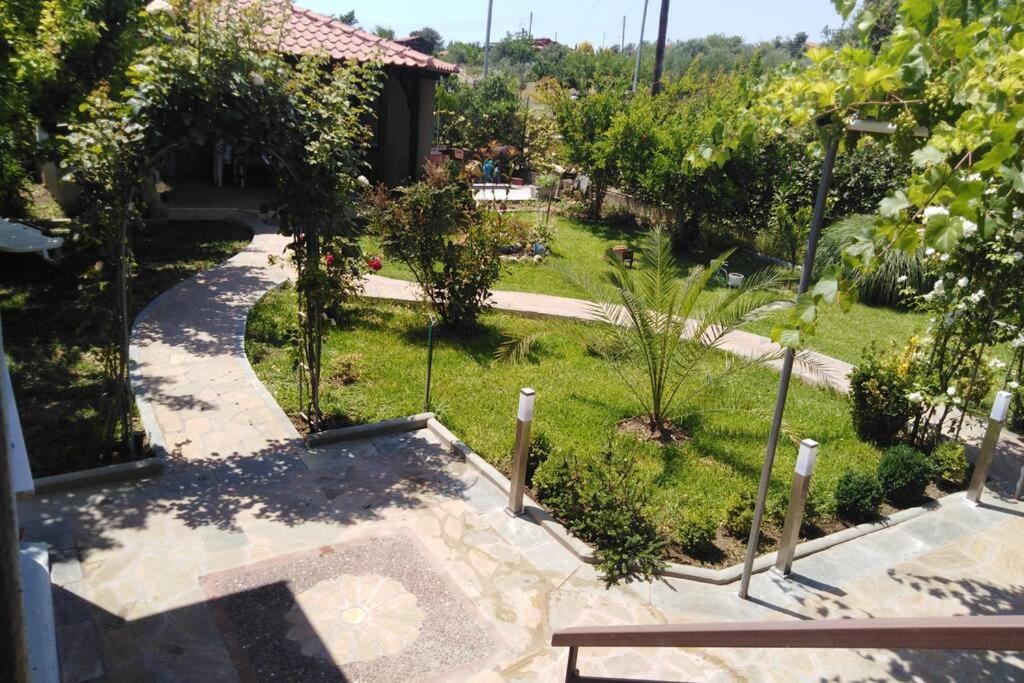 Villa Viktoria Halkidiki photo 2