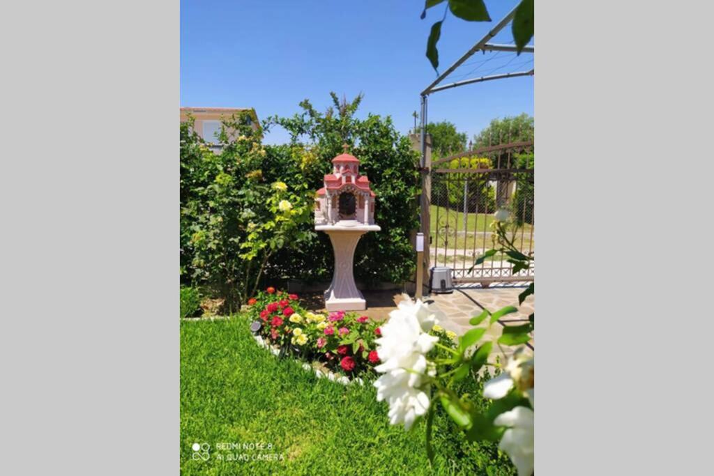 Villa Viktoria Halkidiki photo 4