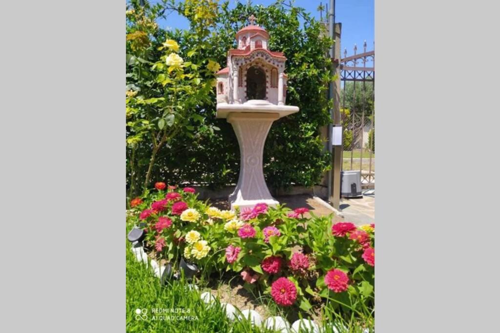 Villa Viktoria Halkidiki photo 3