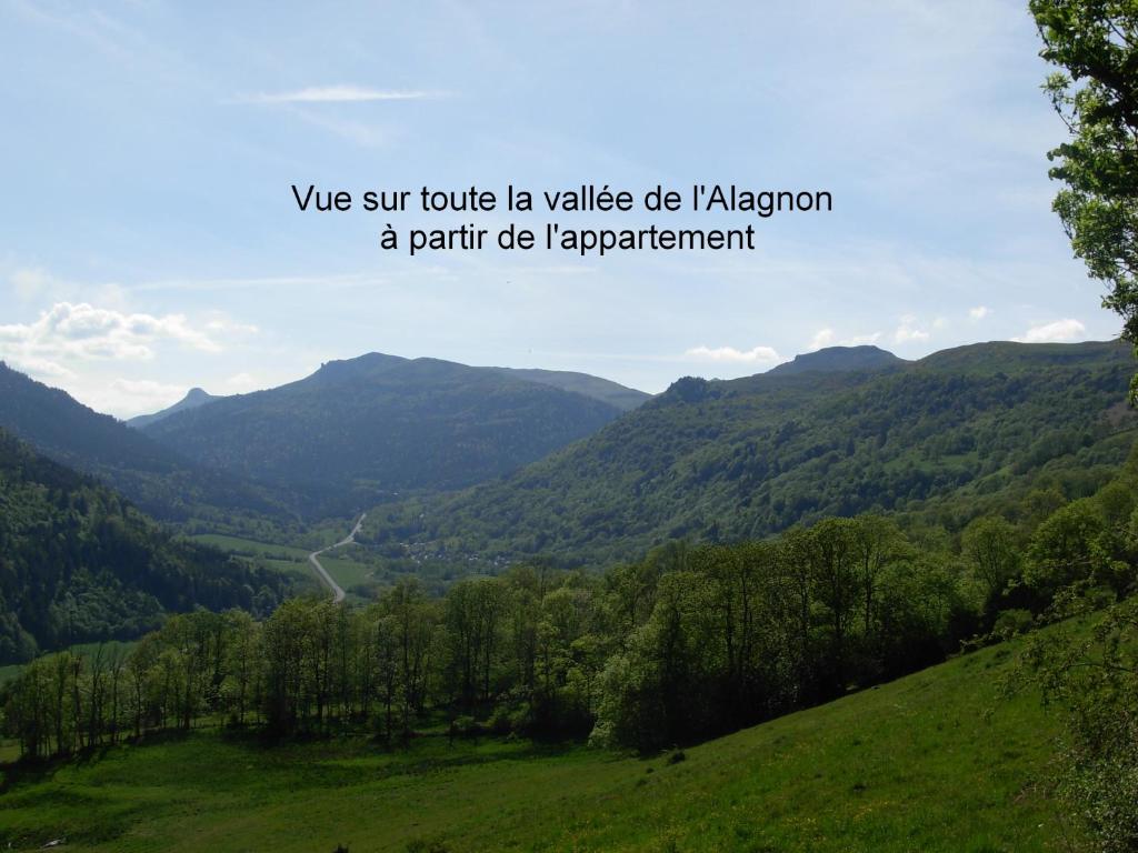 Vacances au pied des Monts du Cantal photo 3