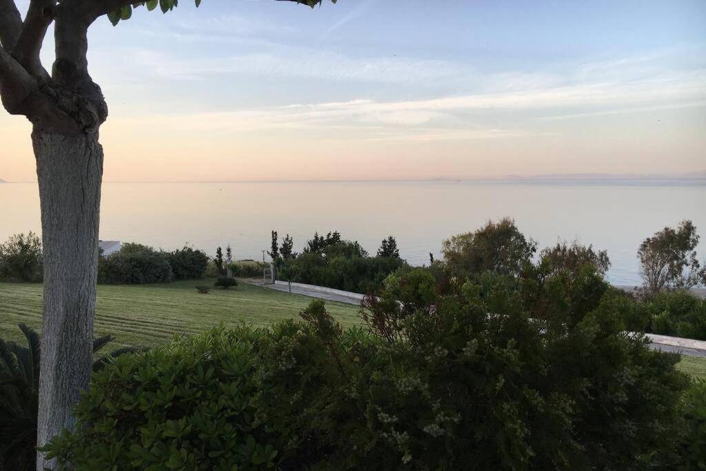 Villa Aegean photo 4