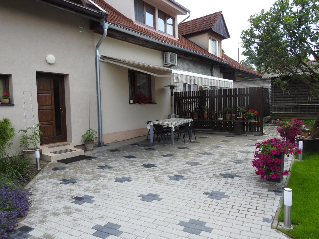 Sofia Veterník C photo 4