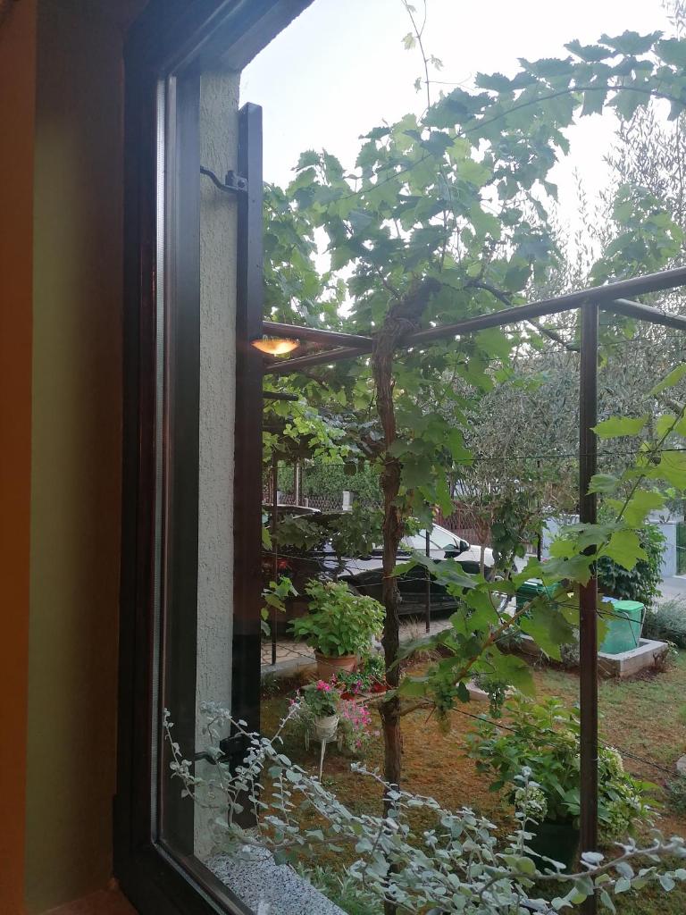 Apartment Oliva photo 1