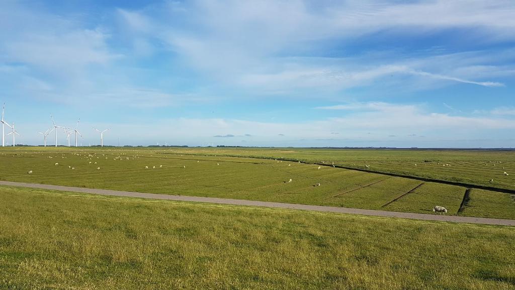 Wohnmobilstellplatz Hemenswarft an der Nordsee - Meerblick photo 1