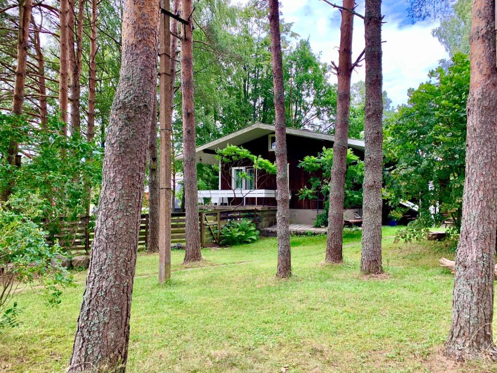 Silla Villa photo 3