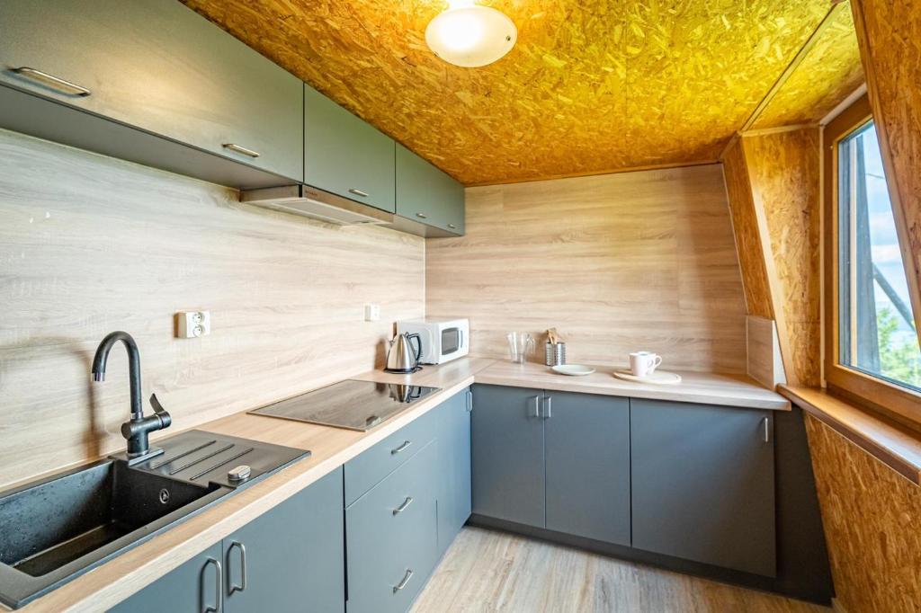 Apartmány Chata Jedlová hora photo 4