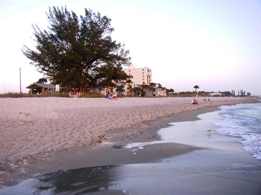 Venice Villas on the Beach photo 4