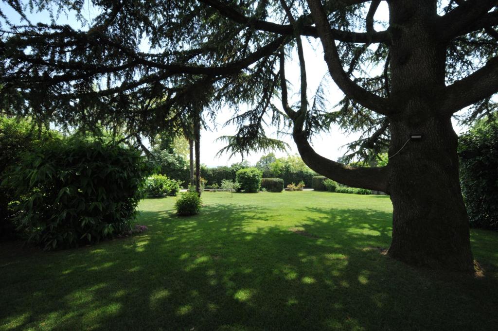 La Corte dei Limoni photo 4