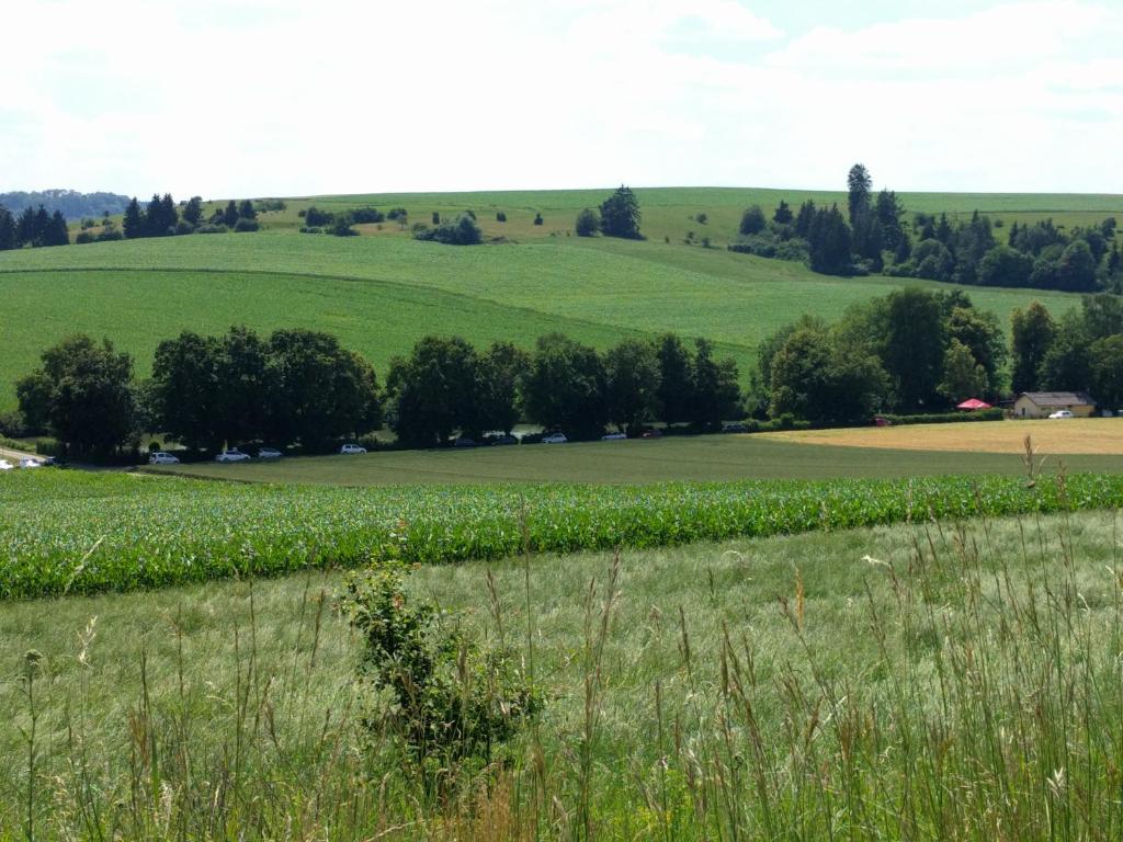 Tagungshaus Reimlingen photo 2
