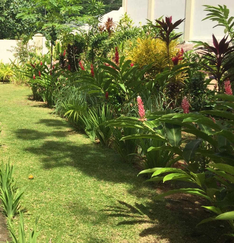 Sahaj Holiday Apartments photo 2