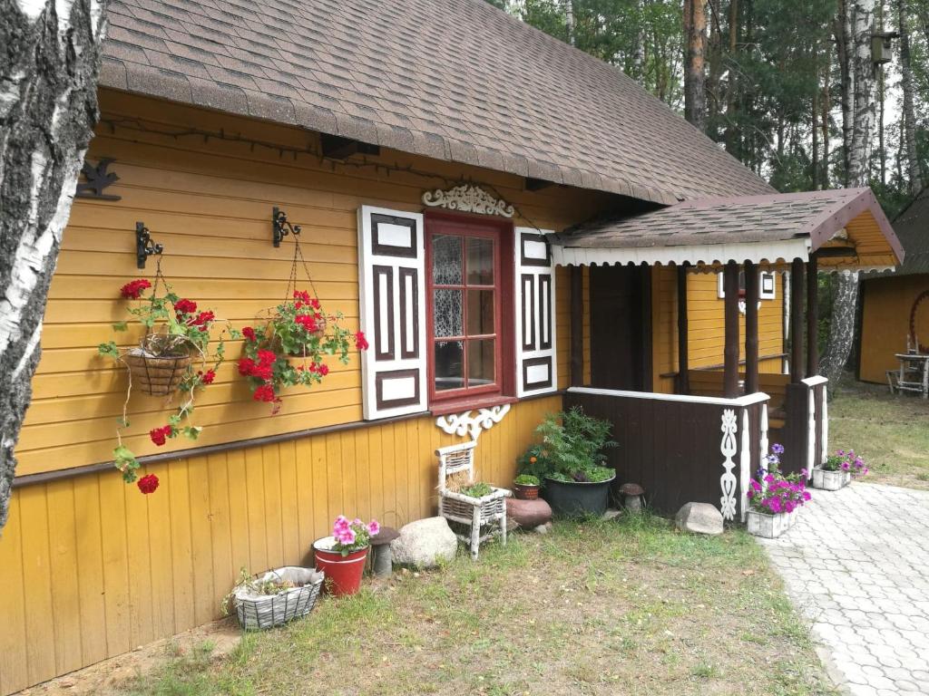 Agroturystyka Bora Zdrój photo 4
