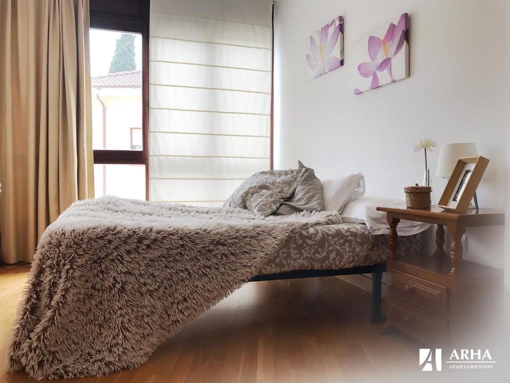 Apartamentos Arha photo 3