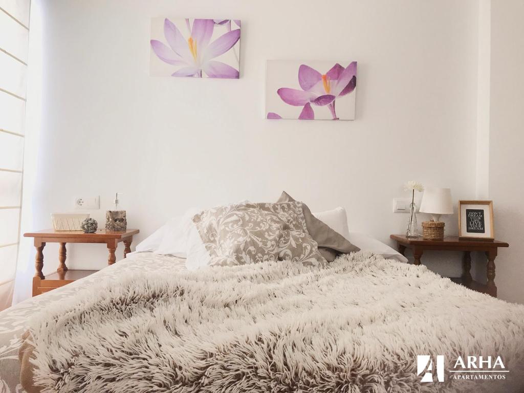 Apartamentos Arha photo 2