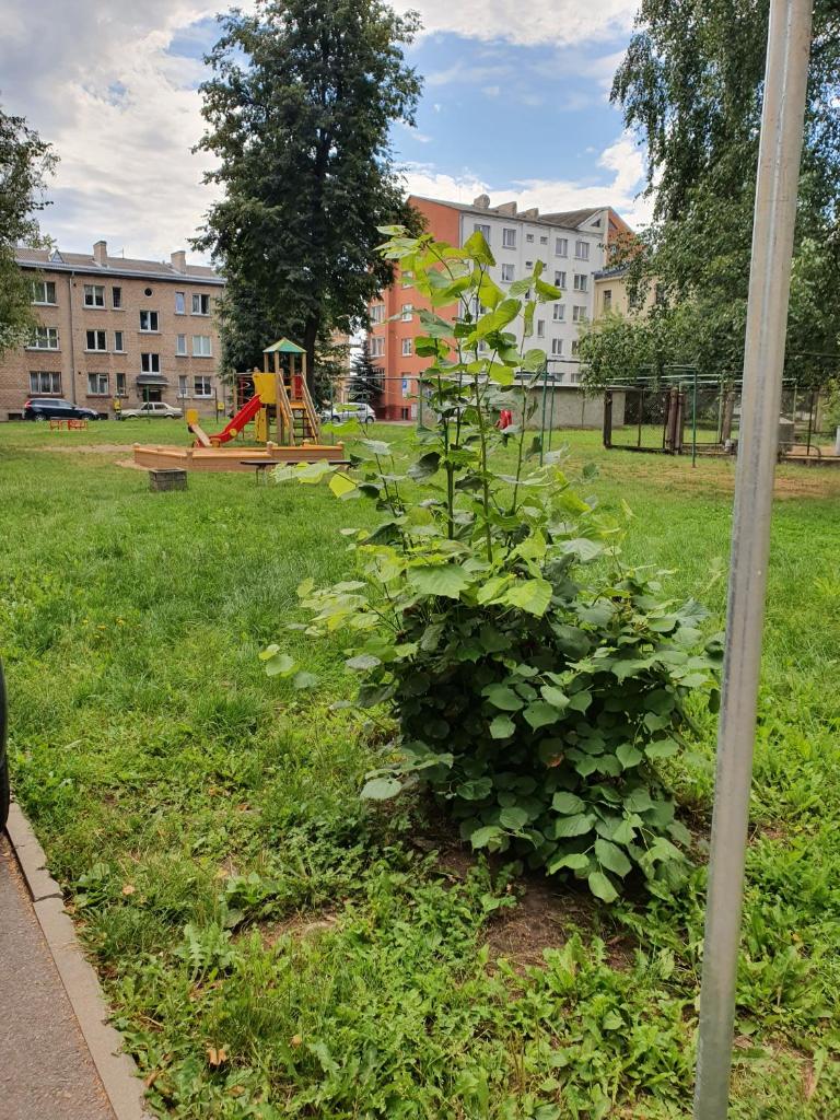 Apartament Erfolg 6 photo 2