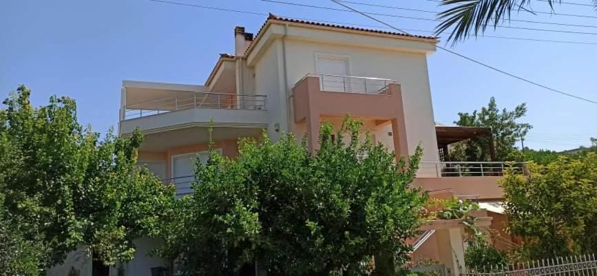 House,1000m from the beach photo 3