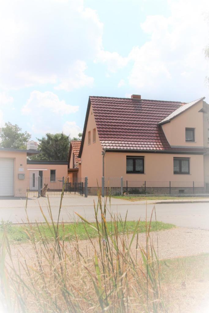 Landhaus "Zum Frosch" photo 2