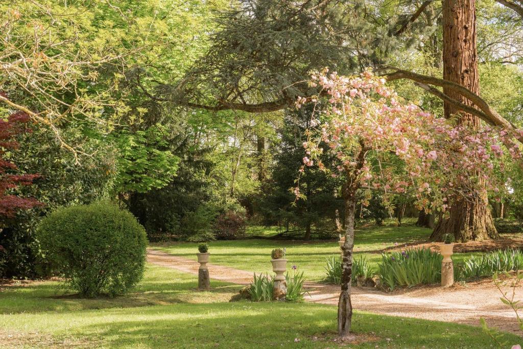 Manoir de la Maison Blanche photo 4