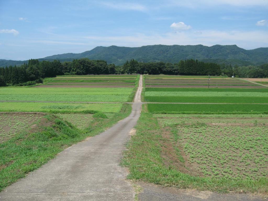 Guesthouse Fukiaesu photo 3