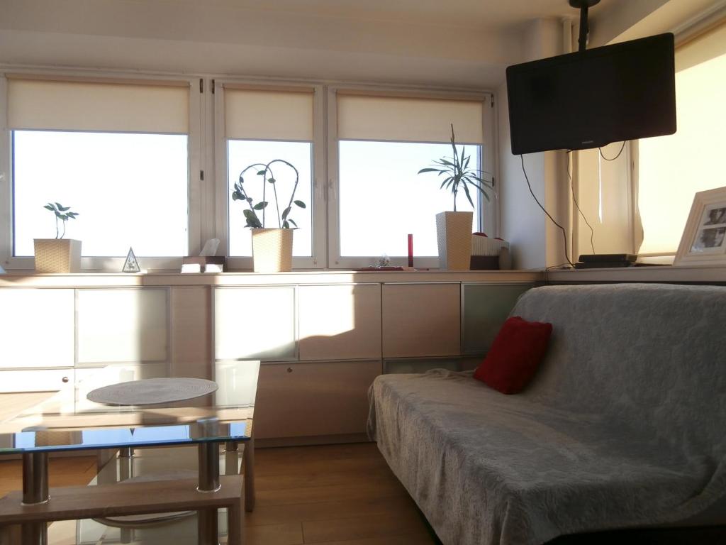 Alma Apartments photo 1