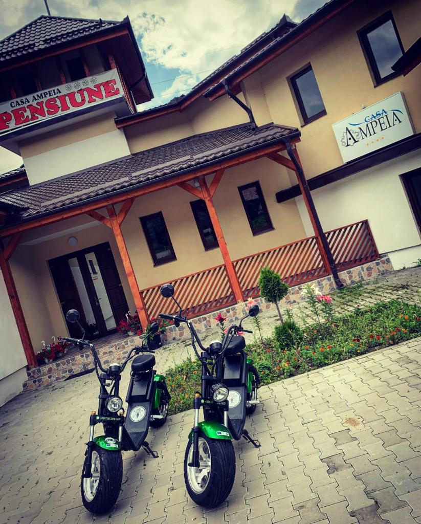 Pensiune Casa Ampeia photo 1