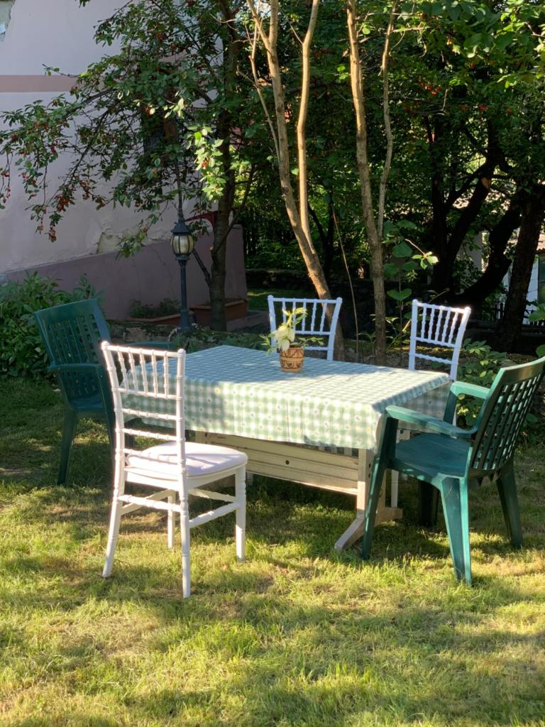 vila zia photo 3