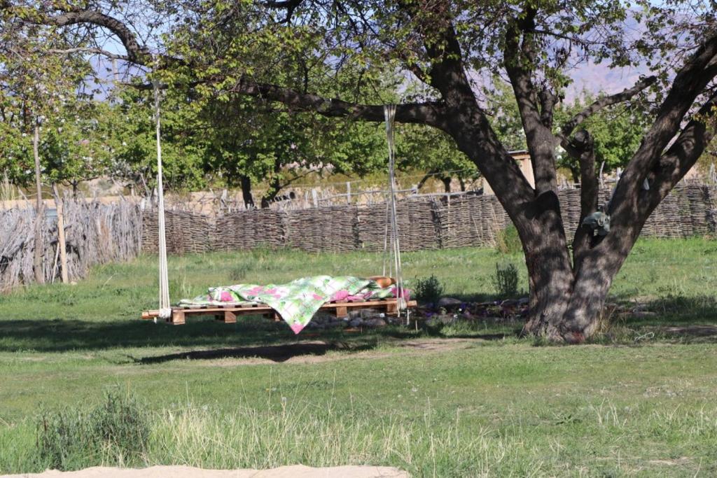 Jurten Camp Almaluu photo 2